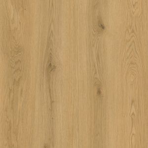 GQ5008