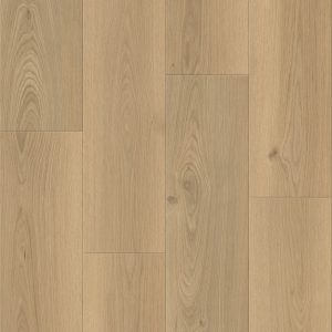 Yosemite Oak B