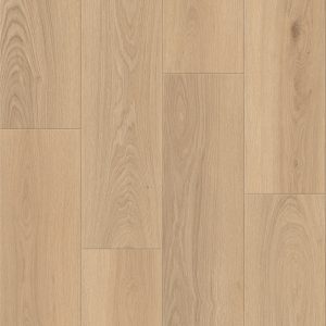 Yosemite Oak C
